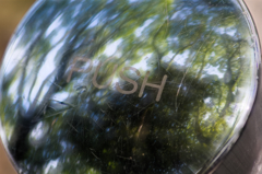 PUSH