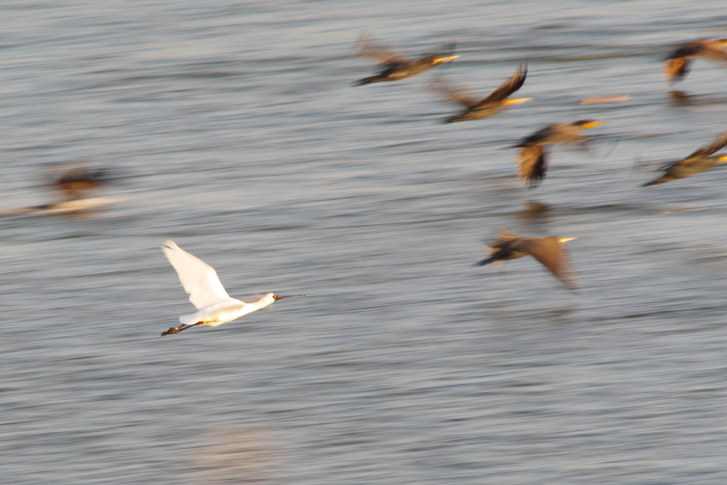 秋風を巻いて(6)