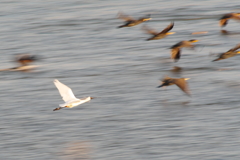 秋風を巻いて(6)