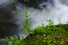 水の力