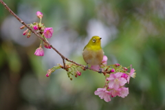 春風に包まれて(2)