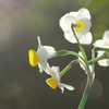 冬尽く(3)