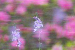 さっきまで(1)