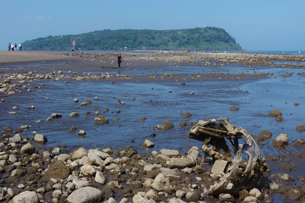 知林ヶ島