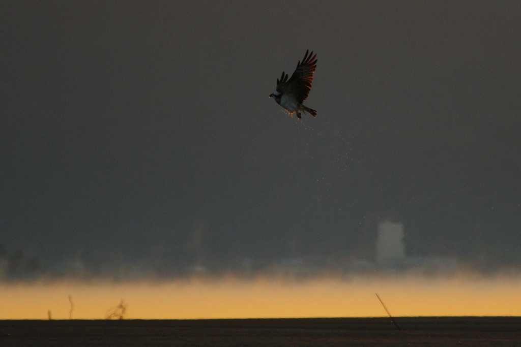 秋風を巻いて(10)