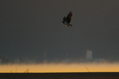 秋風を巻いて(10)