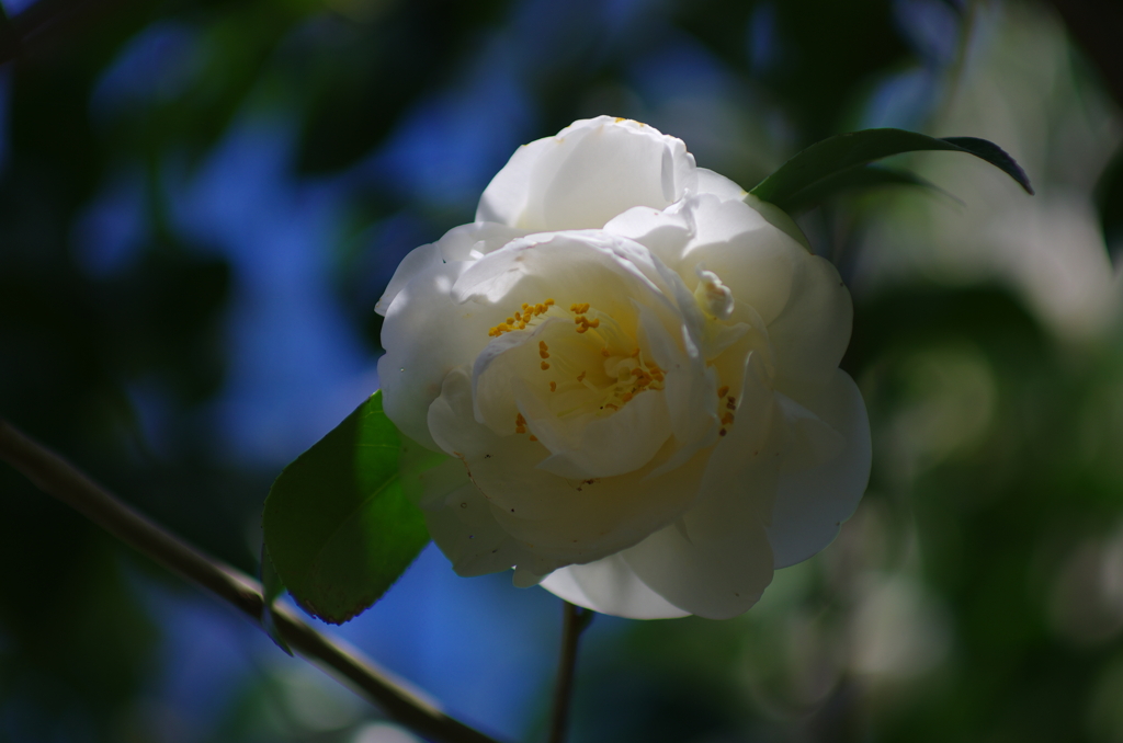 春ひと息(10)
