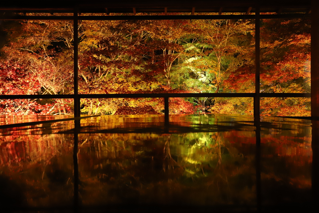 紅葉