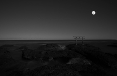 伊豆大島