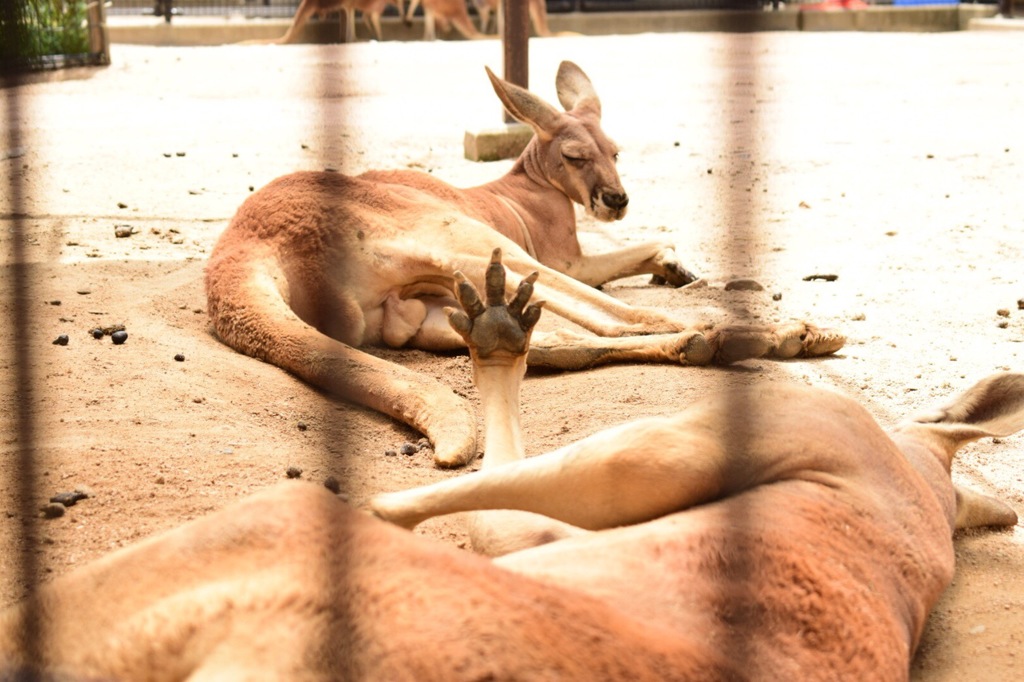 あ、写真お断りです～