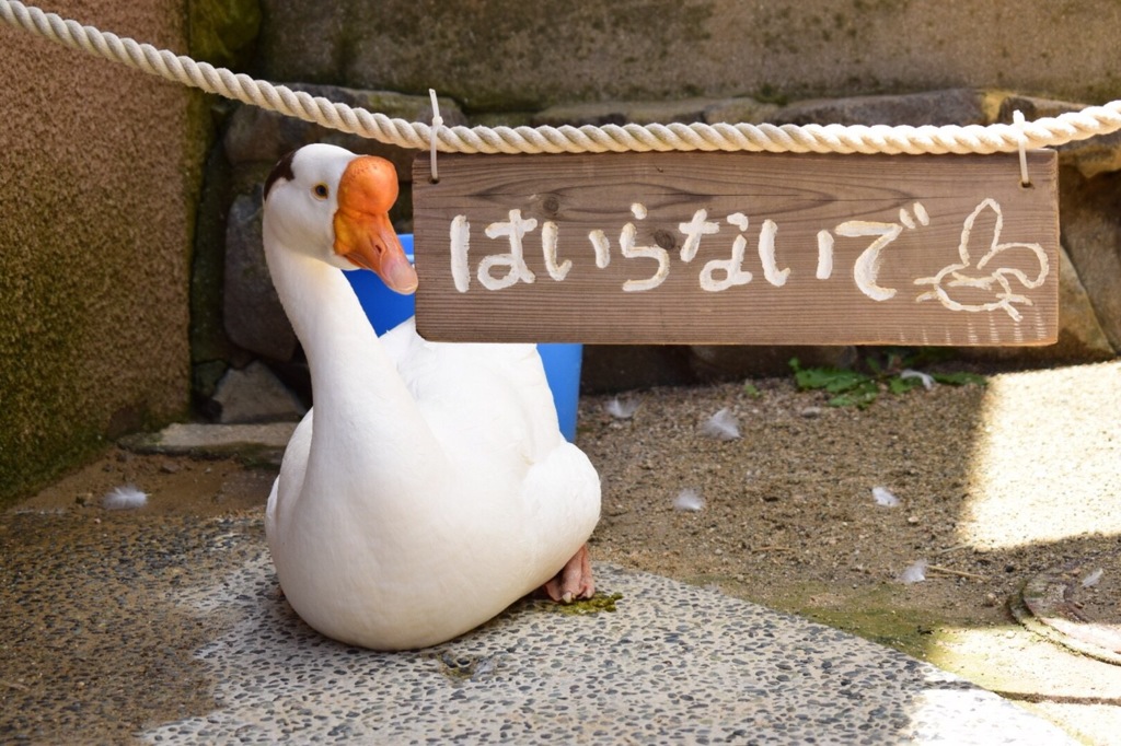 はい、チーズ☆