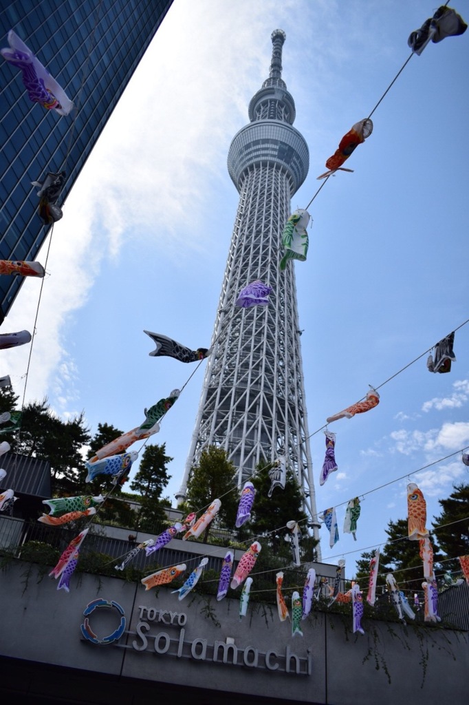 てっぺん目指して