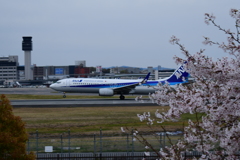 いないいないばぁ