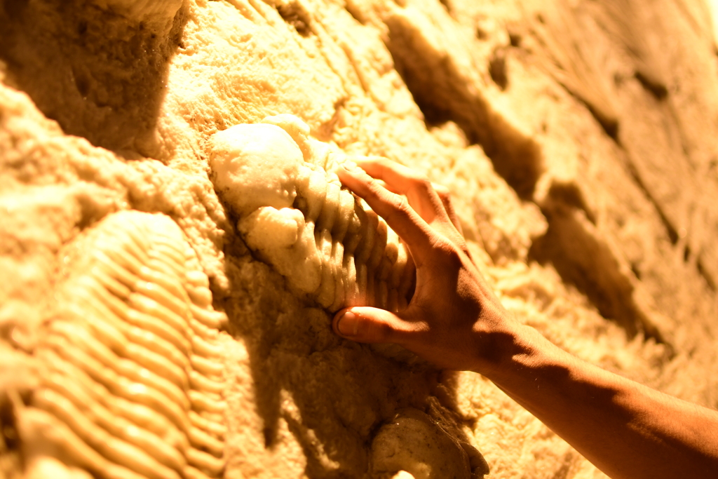 手を伸ばしたその先はセピア色の化石