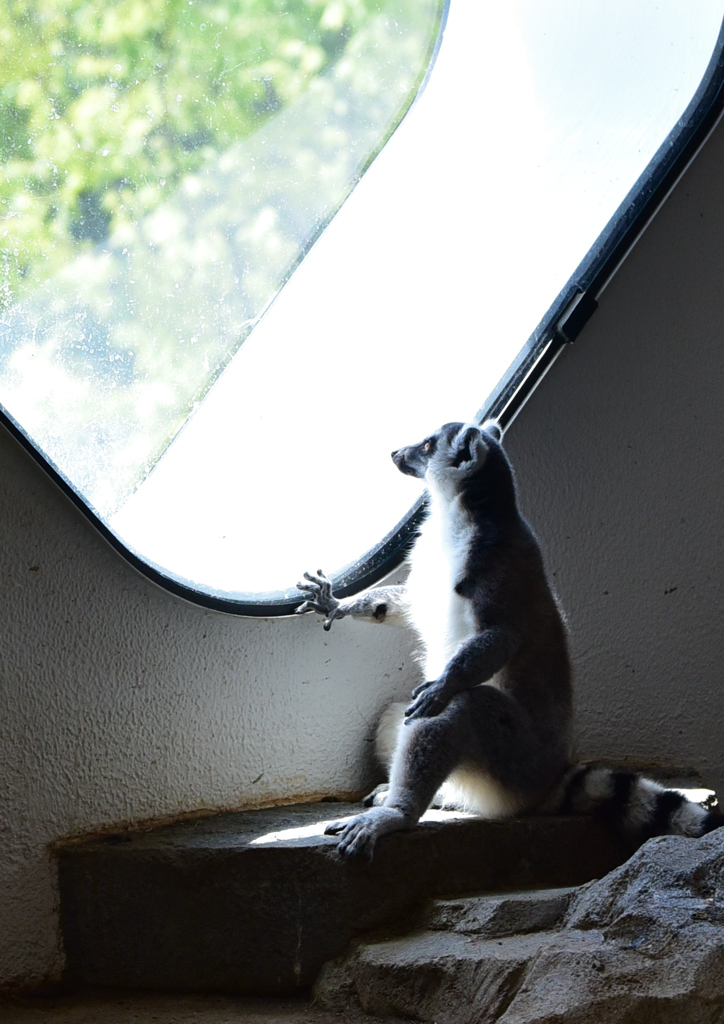 故郷を思う