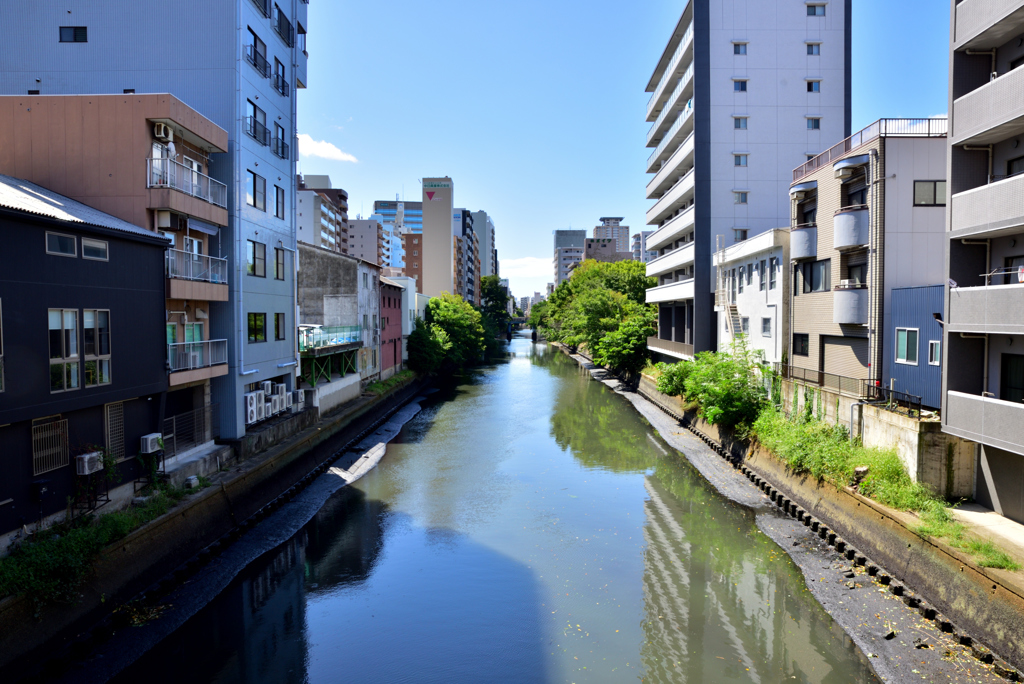川ギリギリ