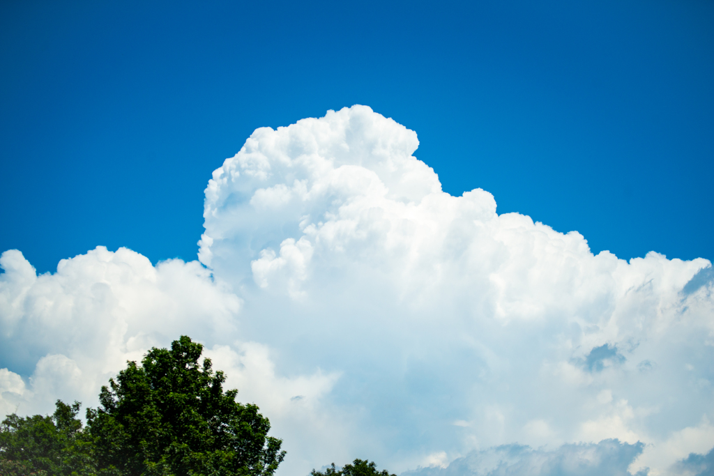 夏雲