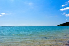 海②