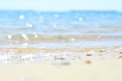 海①