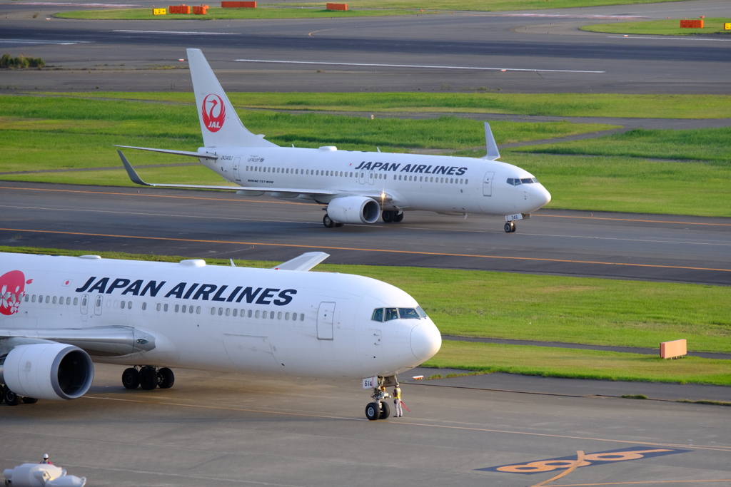 羽田空港国際ターミナル