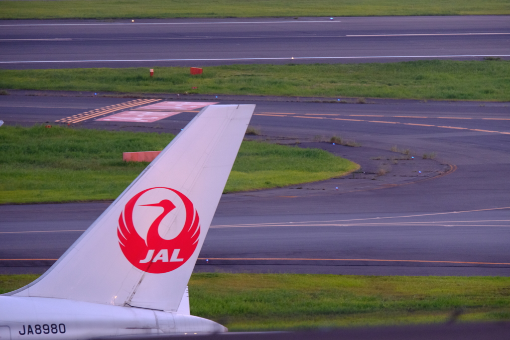 羽田空港国際ターミナル
