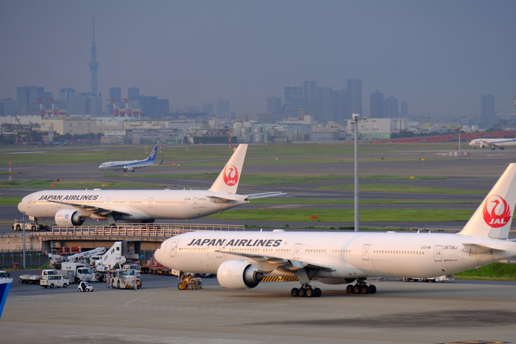 羽田空港国際ターミナル