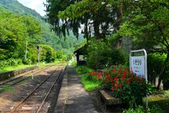 駅に花咲く
