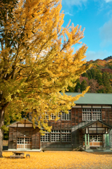 黄葉染まる廃校