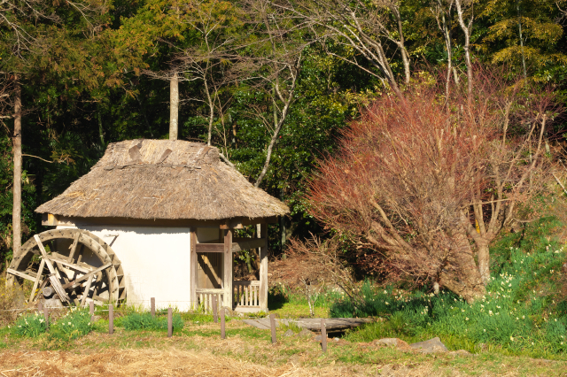 冬の水車小屋