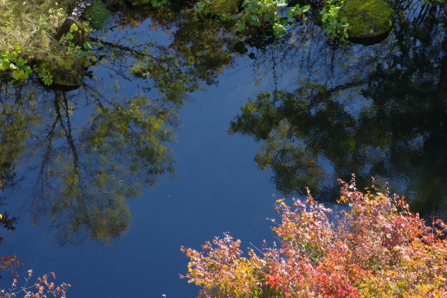 秋の水面