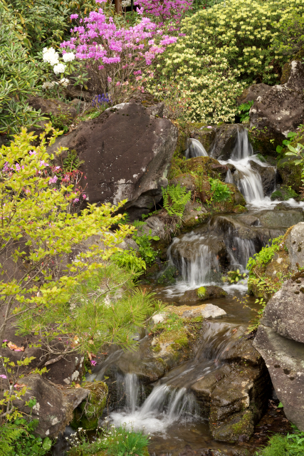 花水落