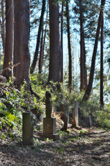 山道の石仏（板碑）