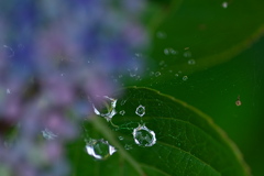 雨後