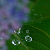 雨後