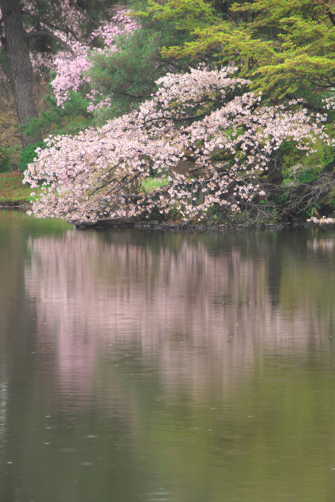 湖面