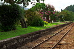 駅に咲く