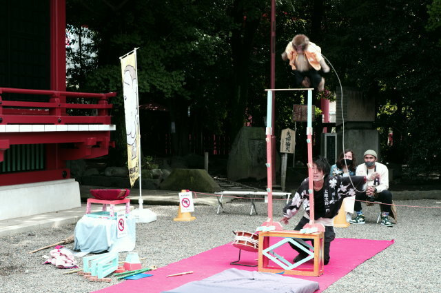 跳び猿