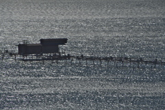 煌めく湖面