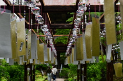 夏の風物詩