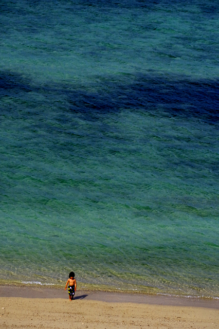 シーサイドボーイ