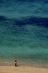 シーサイドボーイ