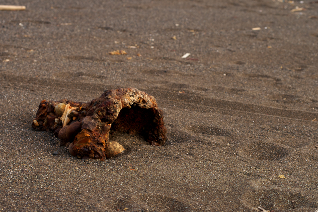 浜辺の遺物