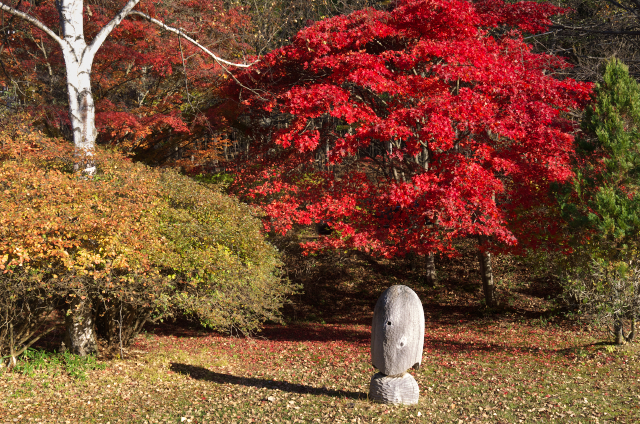 紅秋