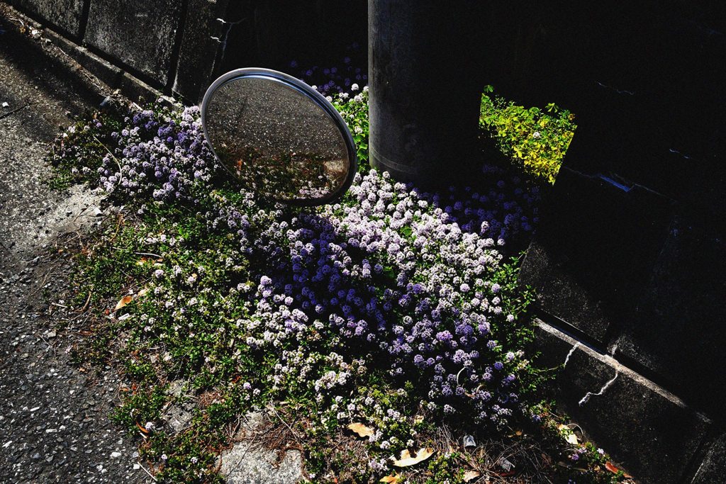 鏡、花