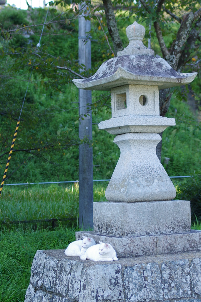 特大☆竹灯籠 〜猫面・狐面〜 幻想の灯り ☆ 竹ランプ 日本直販