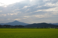田んぼと筑波山