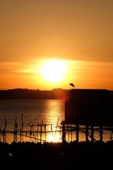 霞ヶ浦の夕陽