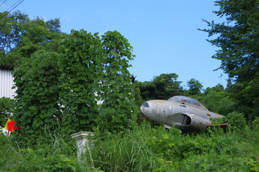 通り道で見つけたT-33