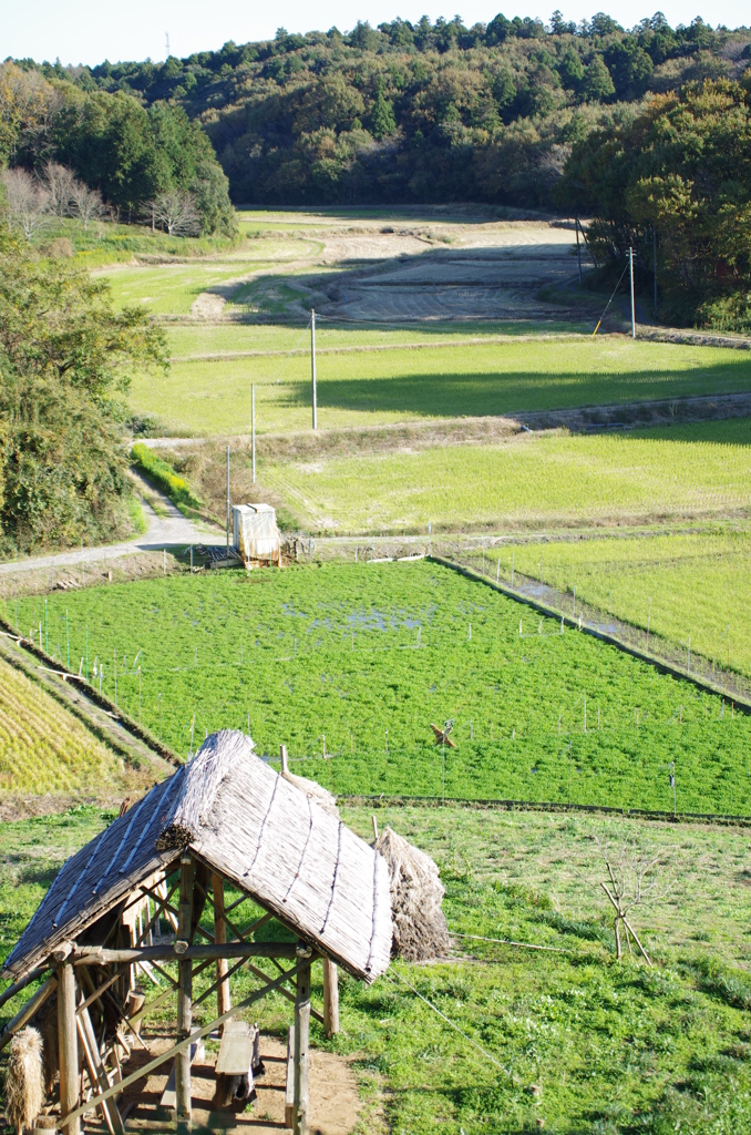 田舎の風景1