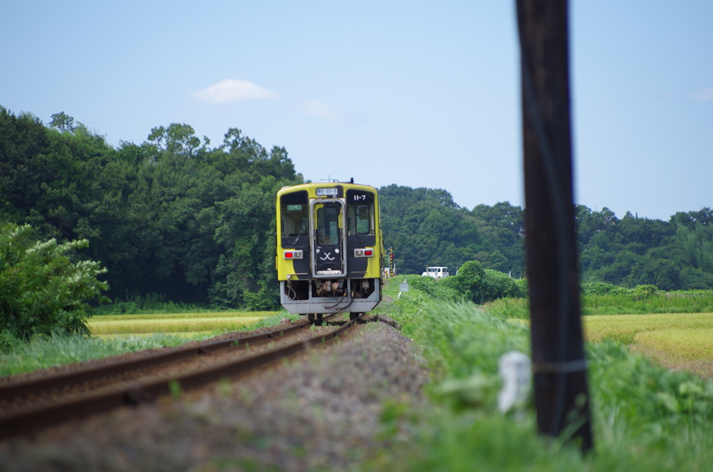 クリーニング専科うさぎの電車